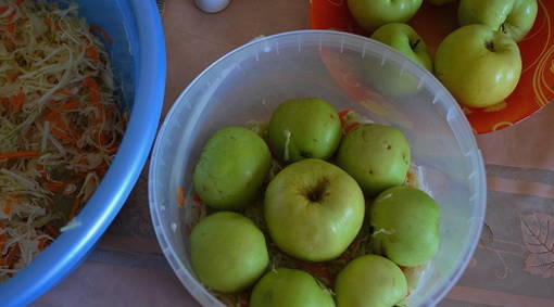 Моченые яблоки в домашних условиях Моченые яблоки в домашних условиях