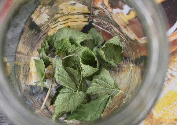 Моченые яблоки в домашних условиях Моченые яблоки в домашних условиях