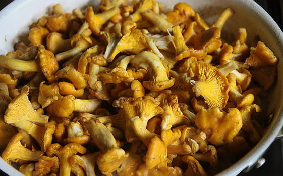 Солянка с капустой и грибами на зиму в банках Солянка с капустой и грибами на зиму в банках