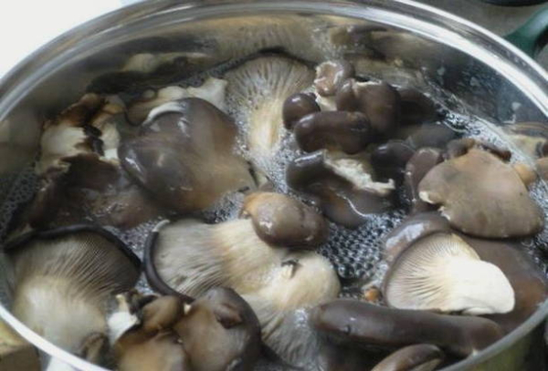 Солянка с капустой и грибами на зиму в банках Солянка с капустой и грибами на зиму в банках