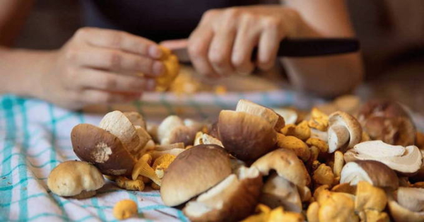 Солянка с капустой и грибами на зиму в банках Солянка с капустой и грибами на зиму в банках