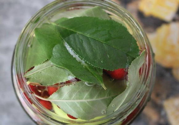 Моченые яблоки в домашних условиях Моченые яблоки в домашних условиях