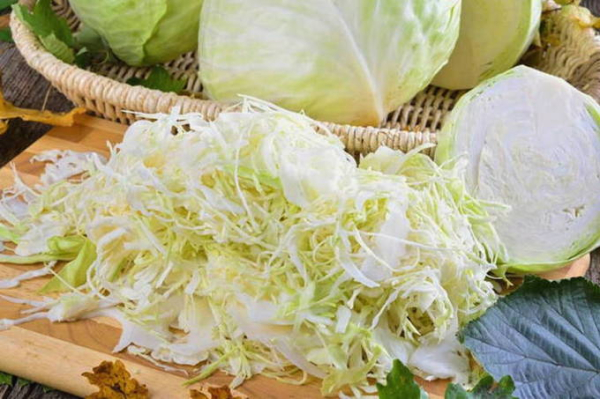 Солянка с капустой и грибами на зиму в банках Солянка с капустой и грибами на зиму в банках