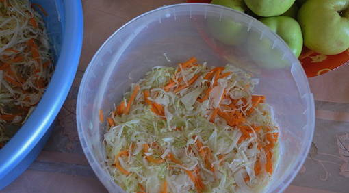 Моченые яблоки в домашних условиях Моченые яблоки в домашних условиях