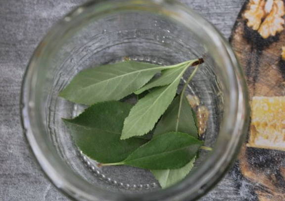 Моченые яблоки в домашних условиях Моченые яблоки в домашних условиях