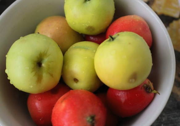 Моченые яблоки в домашних условиях Моченые яблоки в домашних условиях