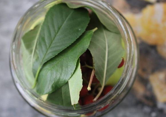 Моченые яблоки в домашних условиях Моченые яблоки в домашних условиях