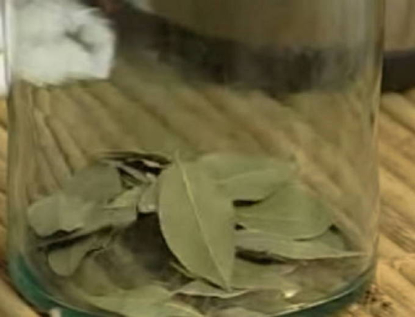 Моченые яблоки в домашних условиях Моченые яблоки в домашних условиях